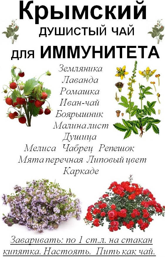 

Крымский душистый чай для иммунитета