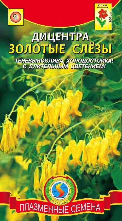 

Дицентра Золотые слёзы 3 шт (Плазменные семена)