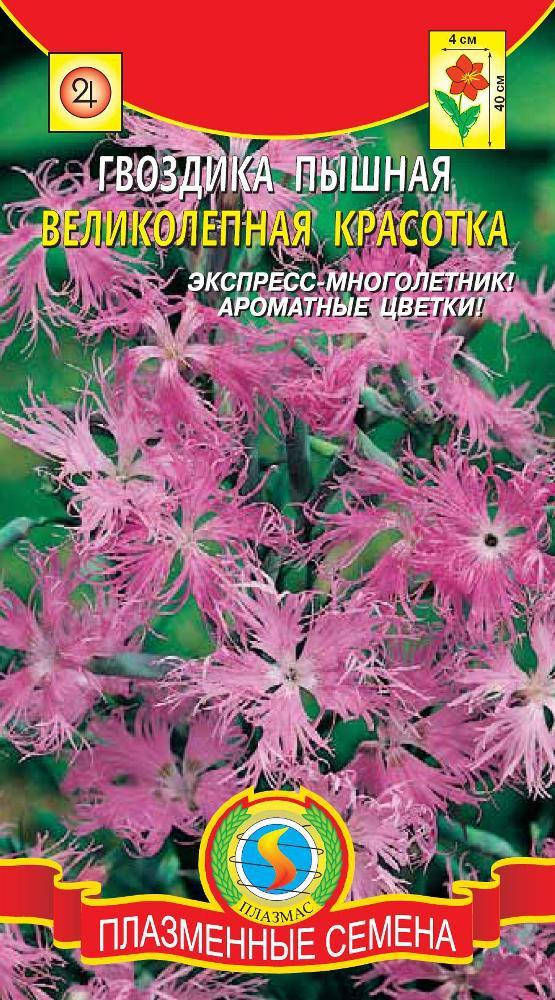 

Гвоздика пышная Великолепная красотка 0,1 г (Плазменные семена)