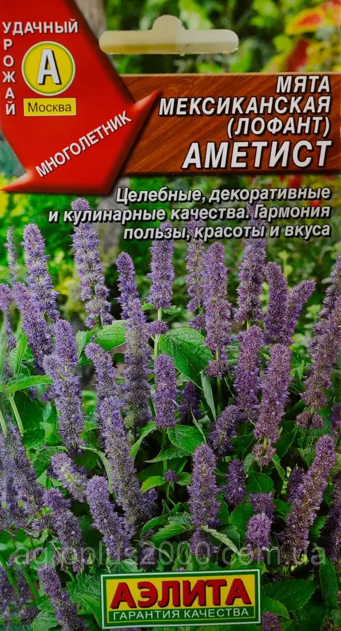 

Семена Мята мексиканская (лофант) Аметист 0,05 грамма Аэлита