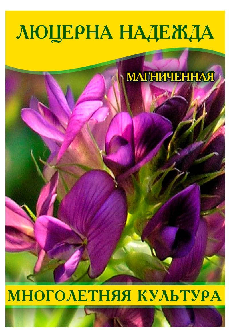 

Семена люцерны магниченная "Надежда", 100г, Зелёный