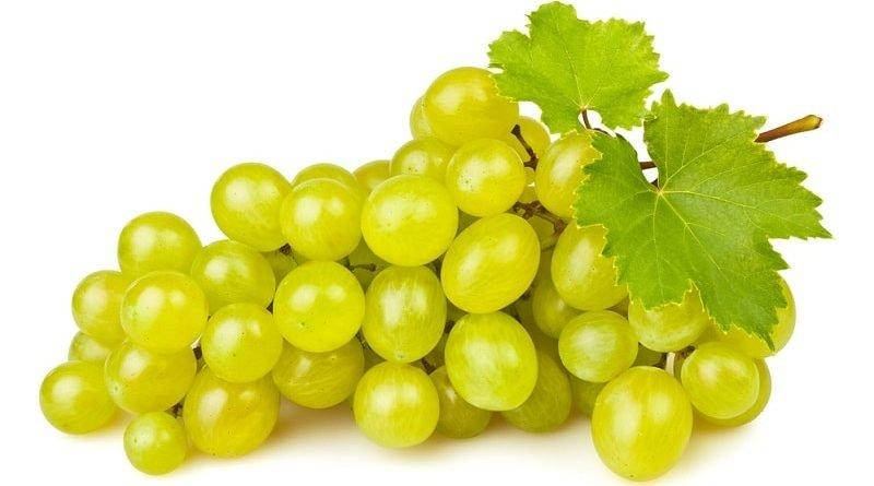 

Глюкоза кристаллическая, декстроза Франция
