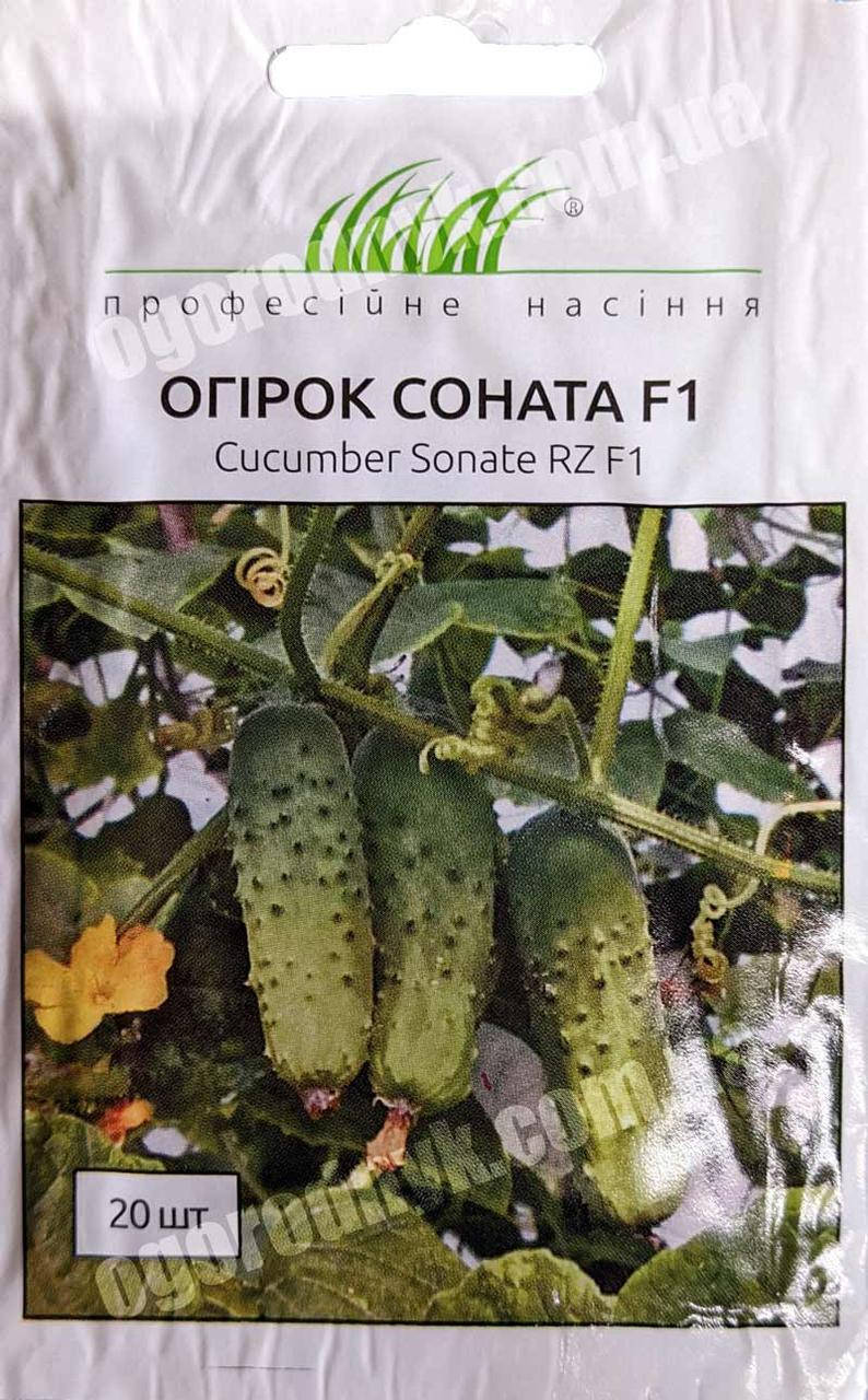 

Насіння огірків Соната F1 20шт. Професійне насіння (Нідерланди)