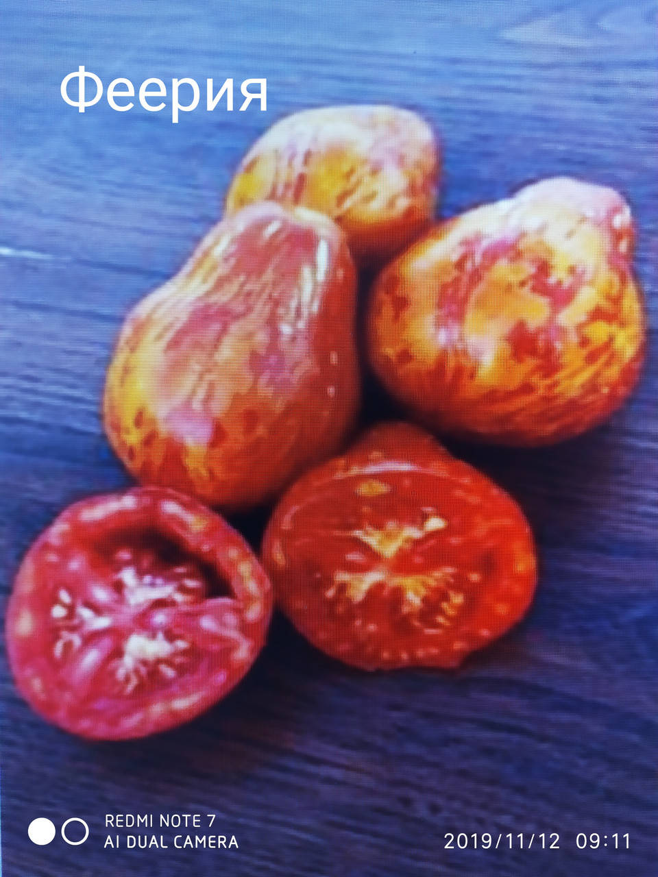 

Томат Феерия