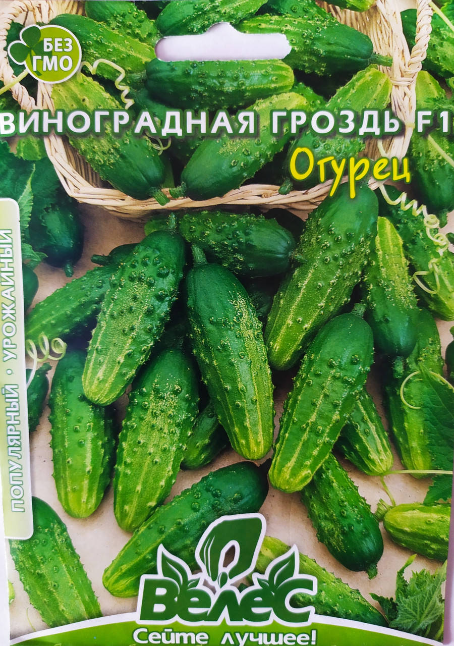 

Огірок Виноградна лоза F1