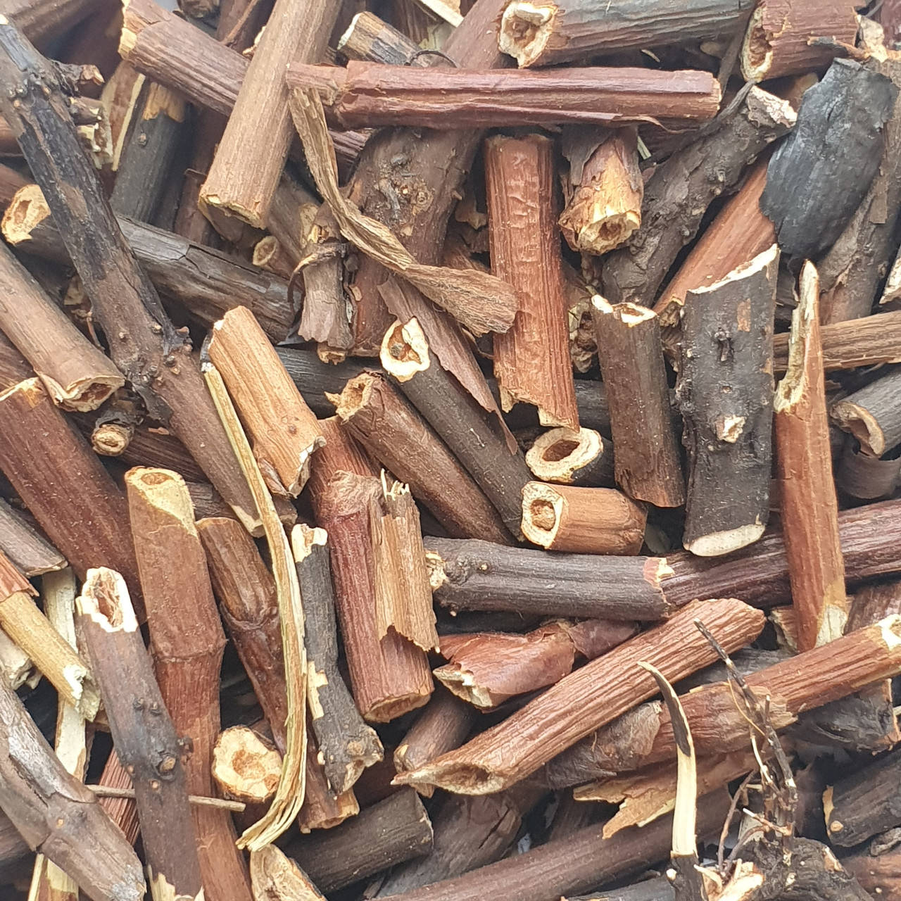 

Сабельник (корень) 50 гр (Свежий урожай)