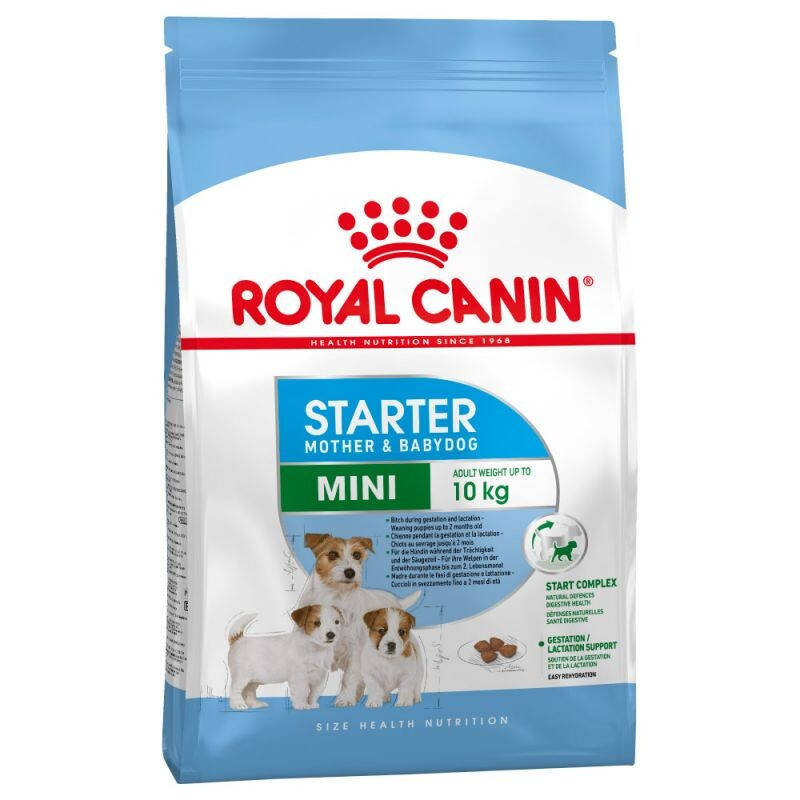 

Сухой корм для собак Royal Canin Mini Starter 1 кг
