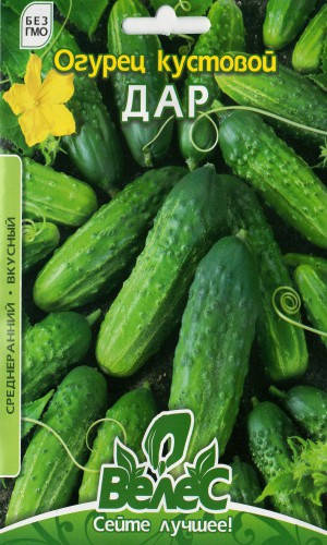 

Семена огурца Дар (кустовой) 2,5г ТМ ВЕЛЕС