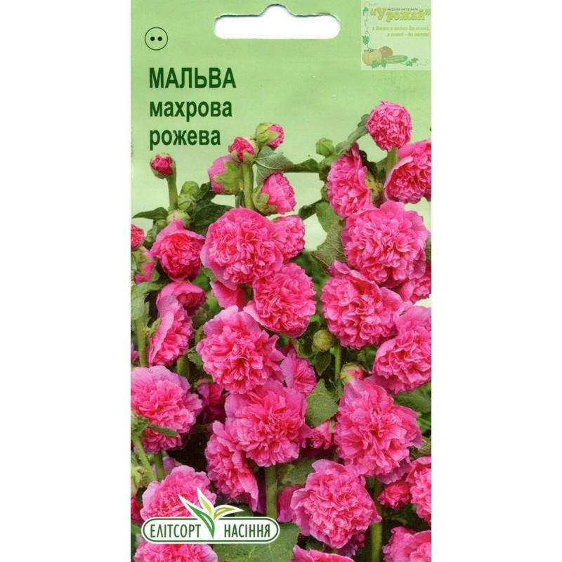 

Семена цветы Мальва махровая розовая, 10 семян, Розовый