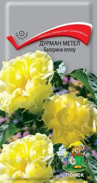 

Семена Дурман (датура) махровый Метел Балерина Еллоу 3 сем Поиск, Желтый