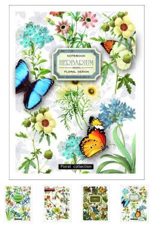 

Блокнот A6 "Графіка" ЗК6636К 36арк. клітинка