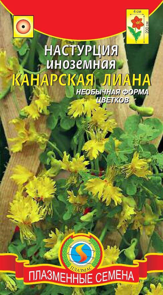 

Настурция иноземная Канарская лиана 8 шт (Плазменные семена)