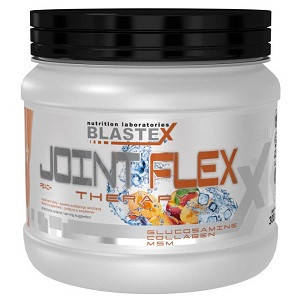 

Для суставов и связок Blastex Joint Flex Therapy (300 грамм.)