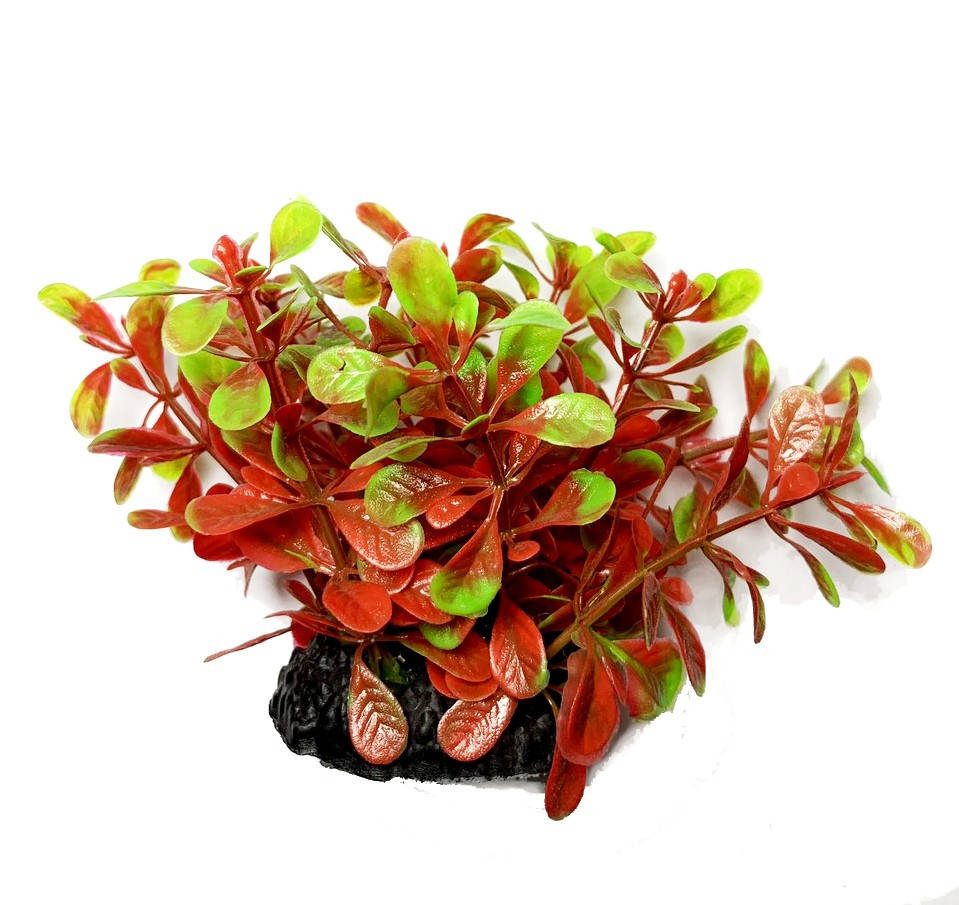 

Искусственное растение для аквариума Р220081-6 см