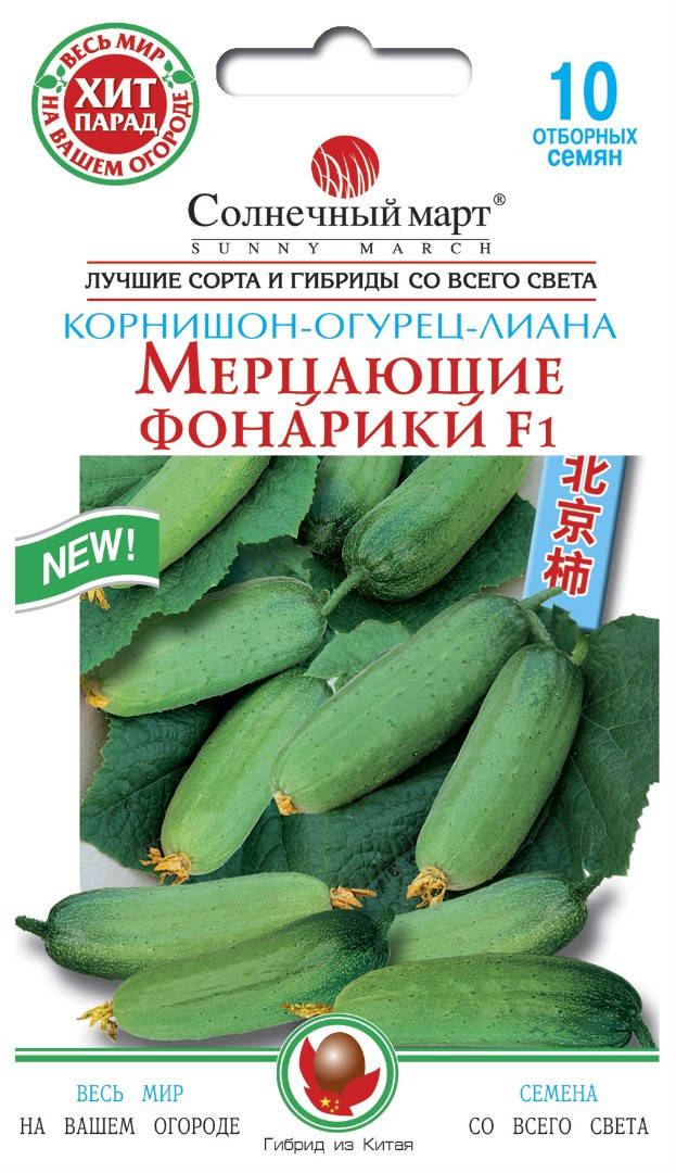 

Мерцающие фонарики F1 10шт Солнечный март