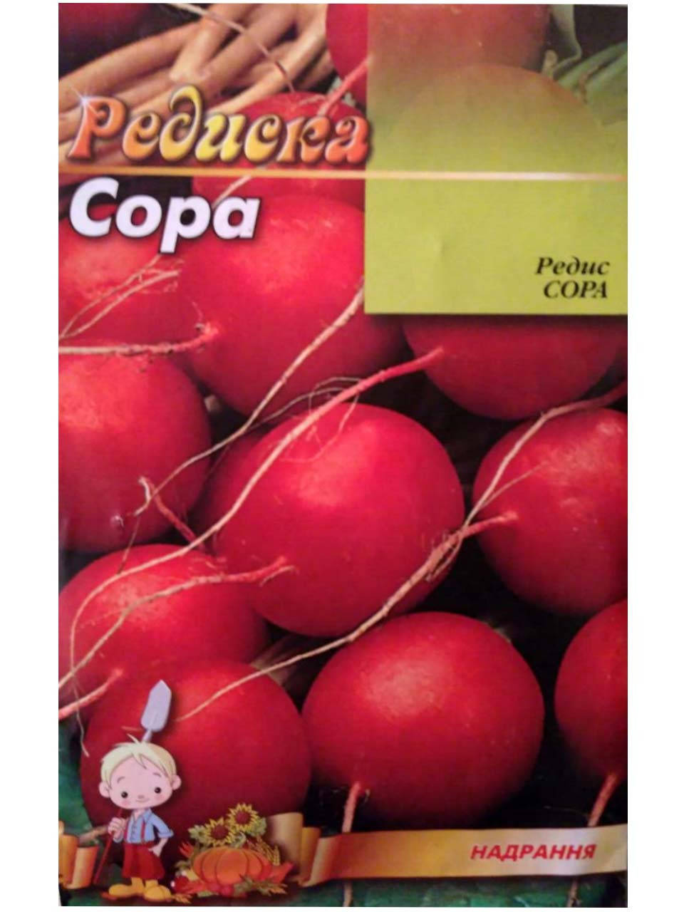 

Семена редиски "Сора"