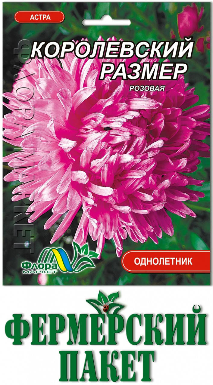 

Астра Королевский размер розовая (большой пакет), Розовый