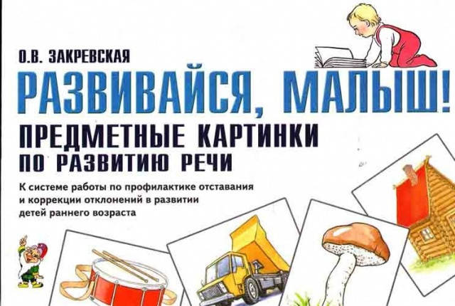 

Развивайся малыш. Предметные картинки. Автор Закревская