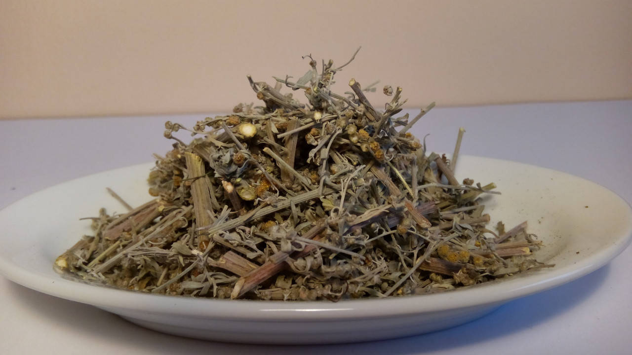 

Полынь горькая трава