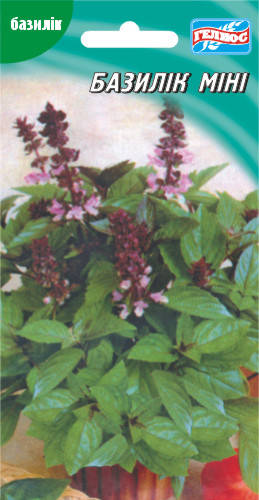 

Семена базилика Мини зеленый 200 шт.