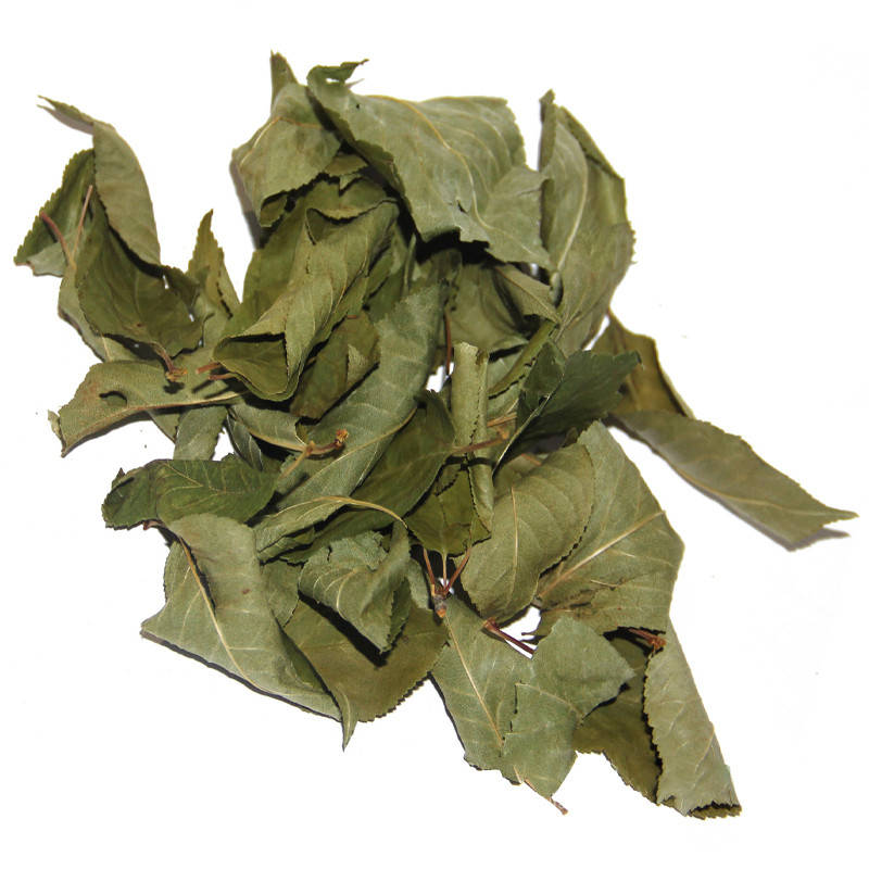 

Вишня лист (1кг)