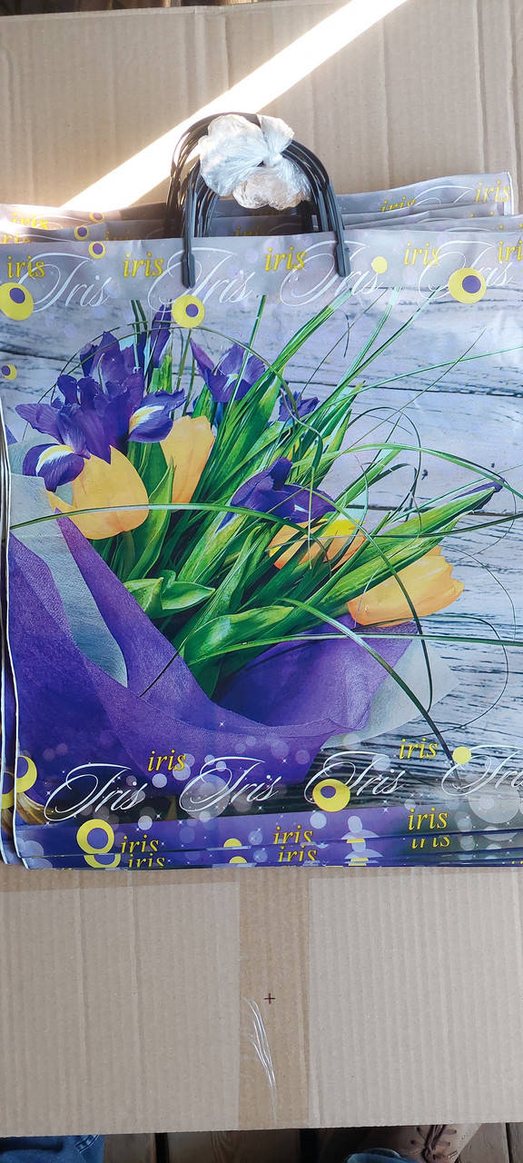 

Пакеты с пластиковыми ручками 40*43