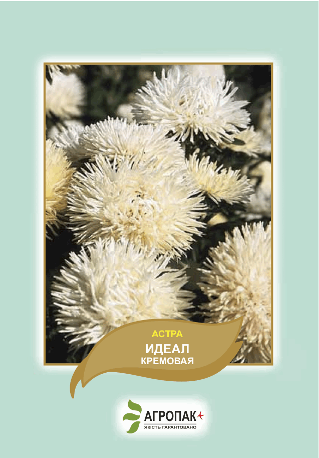 

Семена астра Идеал кремовая 0,1г. Агропак плюс, Белый