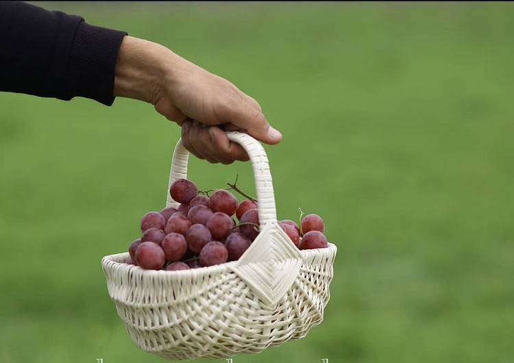 

Плетена корзина із лози «Ромб» біла