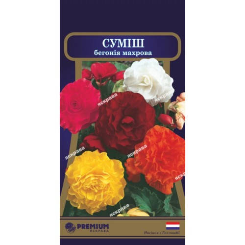 

Бегония махровая Смесь F1 10 семян в оболочке, PREMIUM Яскрава, Разные цвета