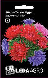 

Семена астры Тысяча Чудес, 0,2 гр., карликовая, смесь