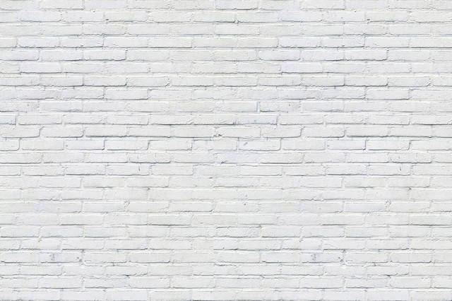 

Виниловый фотофон 120x80см, Frontlit 450 г/м2 №56274