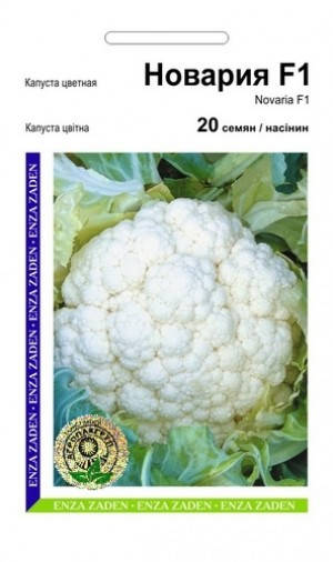 

Семена Капуста цветная Новария F1 20 сем Enza Zaden 2055