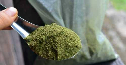 

Порошок из крапивы 0,5 кг