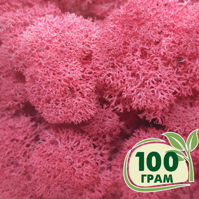 

Стабилизированный мох ягель Цикламен (насыщенный розовый), норвежский мох
