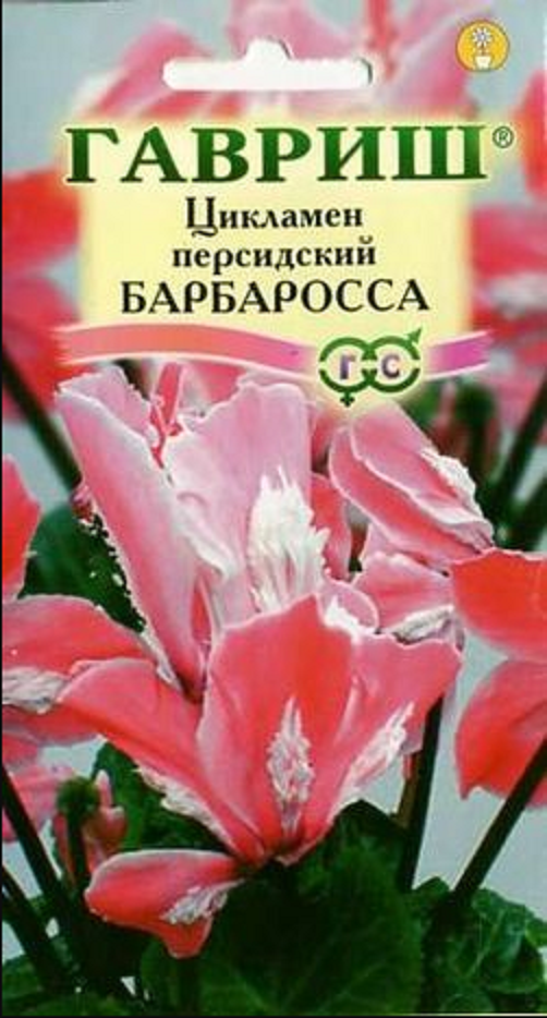 

Насіння Цикламен Барбаросса перський * 3 шт ТМ Гавриш