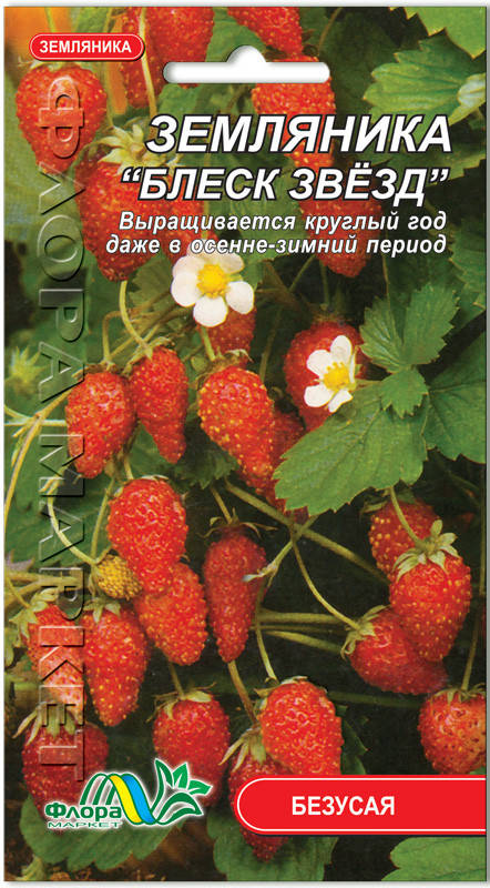 

Семена земляника Блеск звезд 0.03г. Флора маркет