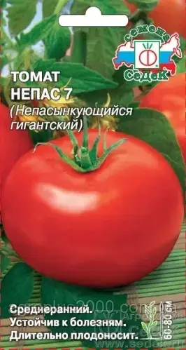 

Семена Томат детерминантный Непас 7 0,1 грамма Седек