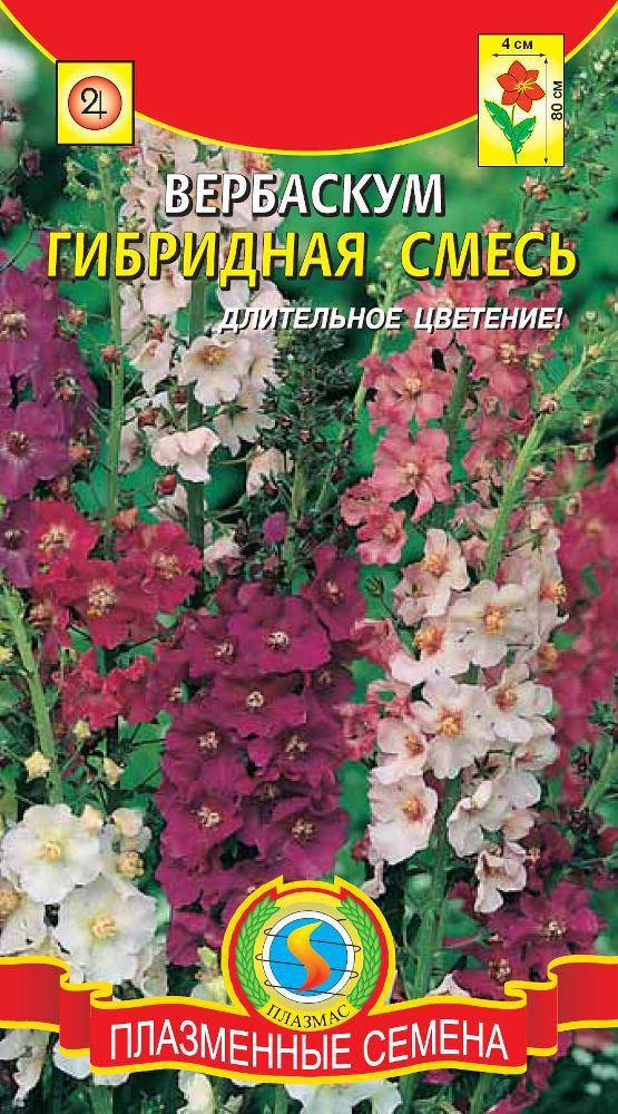 

Вербаскум гибридная смесь 0,05 г (Плазменные семена)