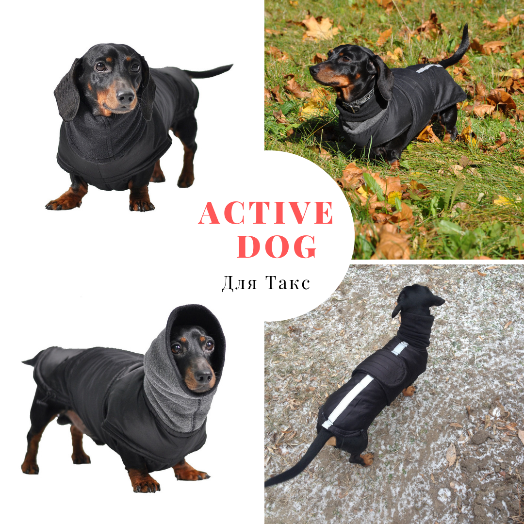 

Теплая одежда для Собак, водонепроницаемая попона для такс Active dog (черный) 3XL
