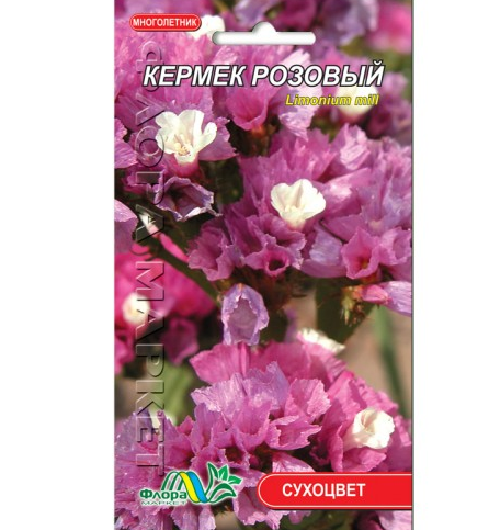 

Кермек розовый, сухоцвет-многолетник, семена цветы 0.05 г