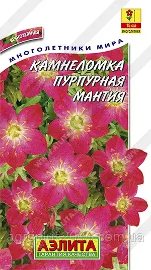 

Семена Камнеломка Арендса Пурпурная Мантия 0,02 грамма Аэлита, Розовый