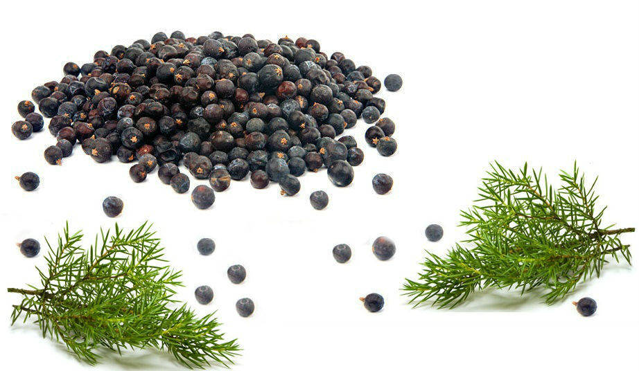 

Ягоды можжевельника 100 грамм (Juniperus communis)