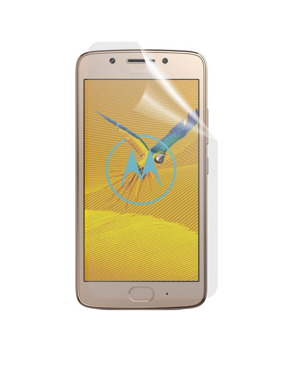

Матовая защитная пленка для Motorola Moto G5 XT1676