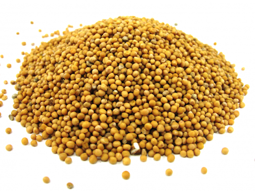 

Горчица желтая