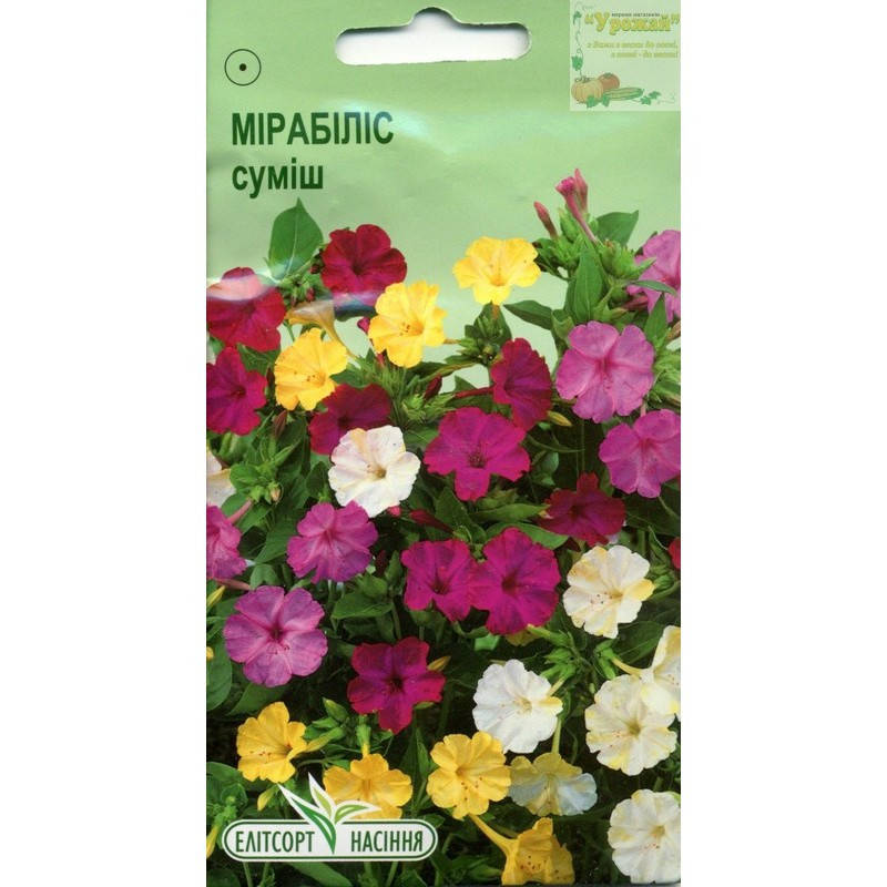 

Семена цветы Мирабилис смесь, 10 семян