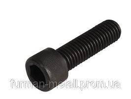 

Винт M8х20 с внутренним ш\г (без покрытия) кл.8.8