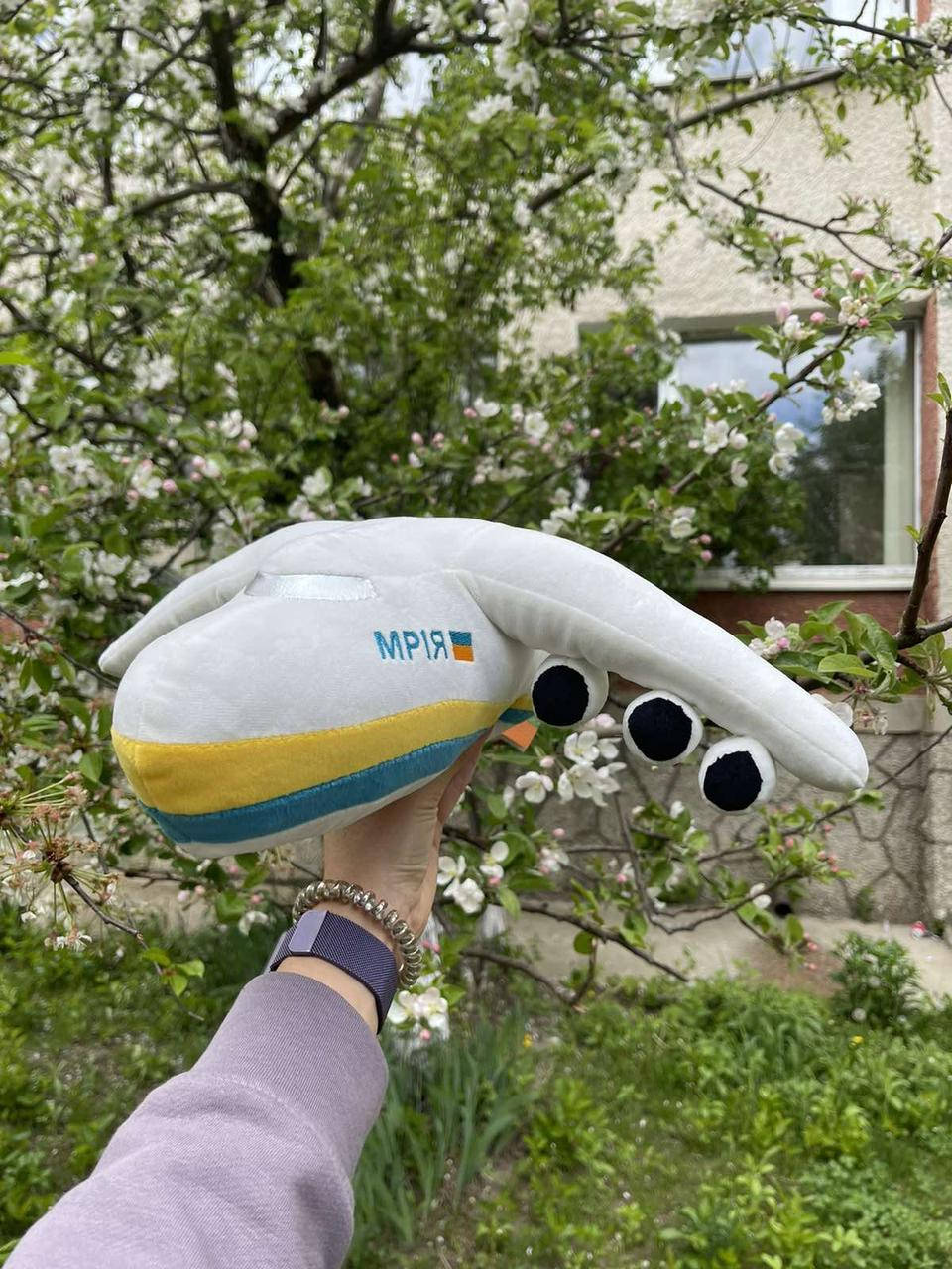 

М'яка іграшка літак "Мрія" 37х44х12 см