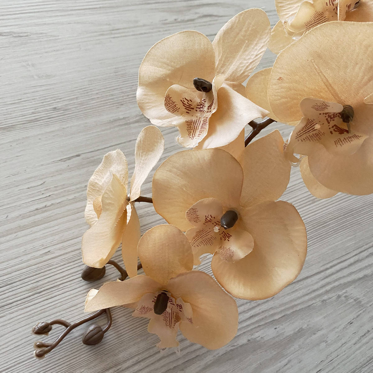 

Искусственная орхидея фаленопсис шампань VF 021