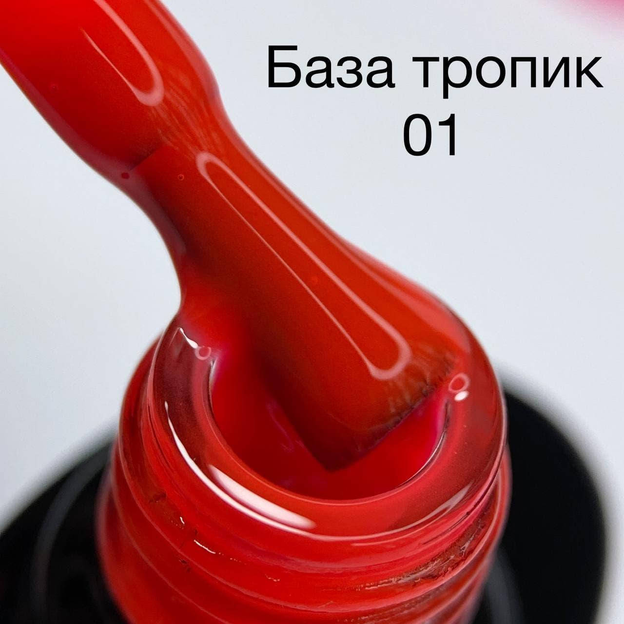 

База от Сага SAGA Tropical Base №01