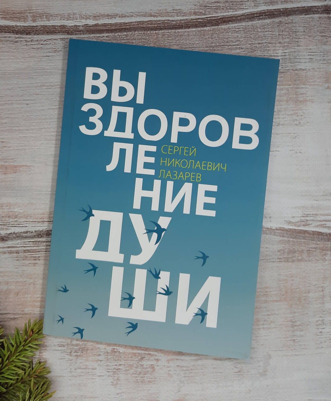 

Лазарев Выздоровление души